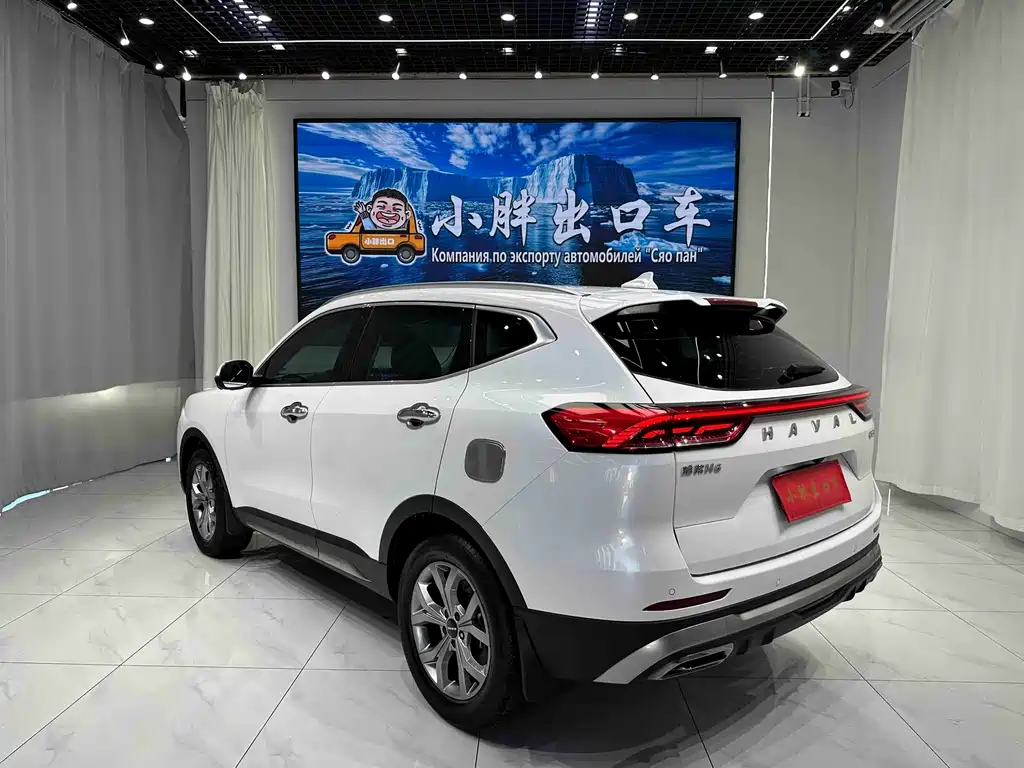 Haval H6 — миниатюра 9