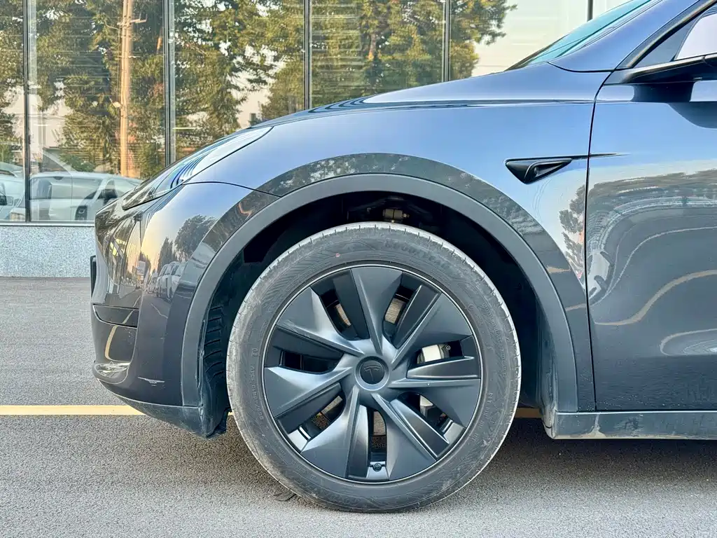 Tesla Model Y — миниатюра 4
