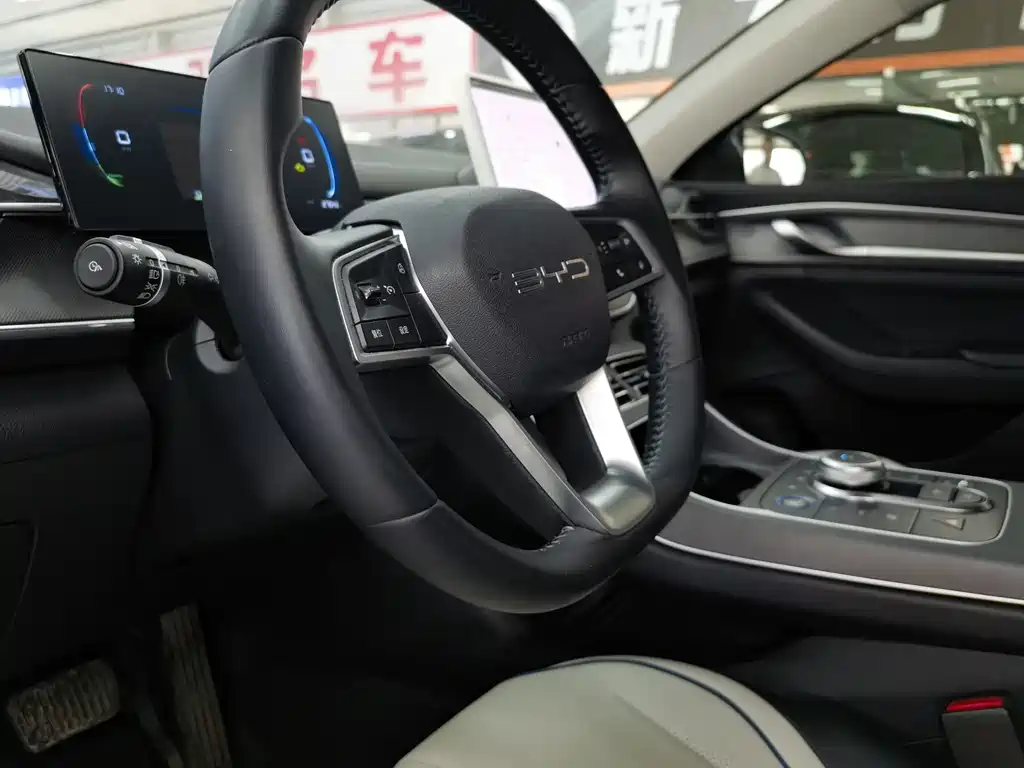 BYD Destroyer 05 — миниатюра 10