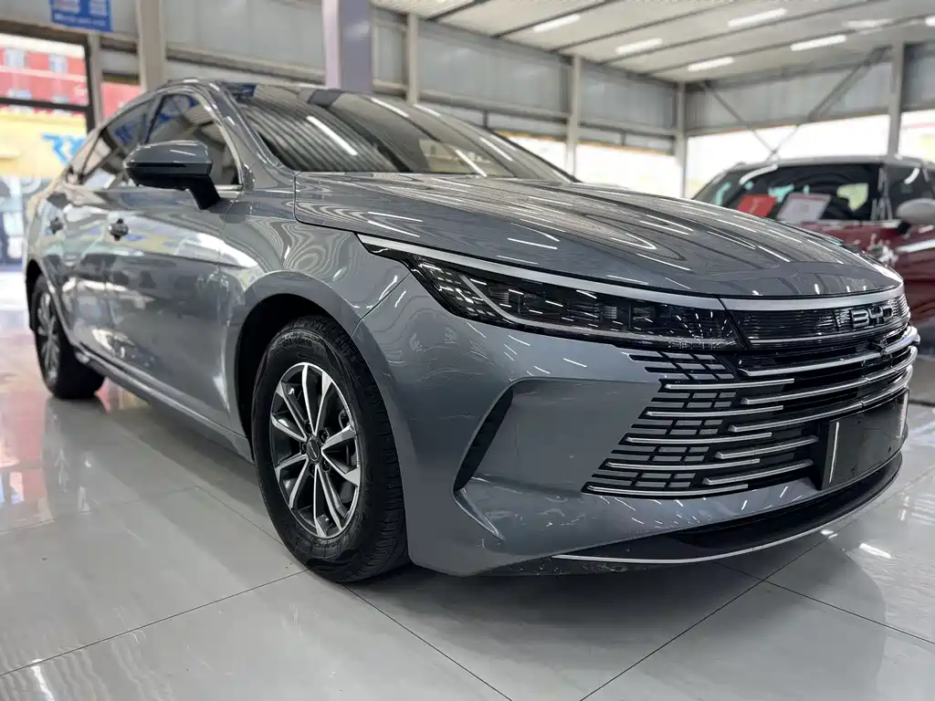 BYD Destroyer 05 — миниатюра 3