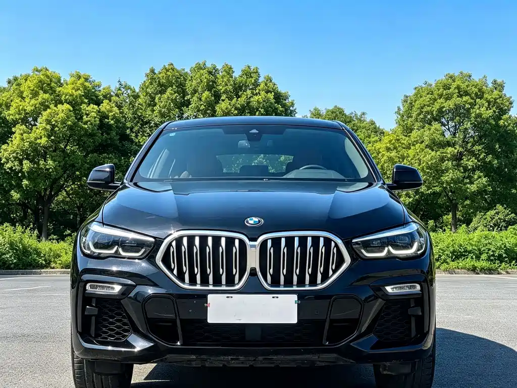 BMW X6 xDrive30i M Sport Package, фото 2