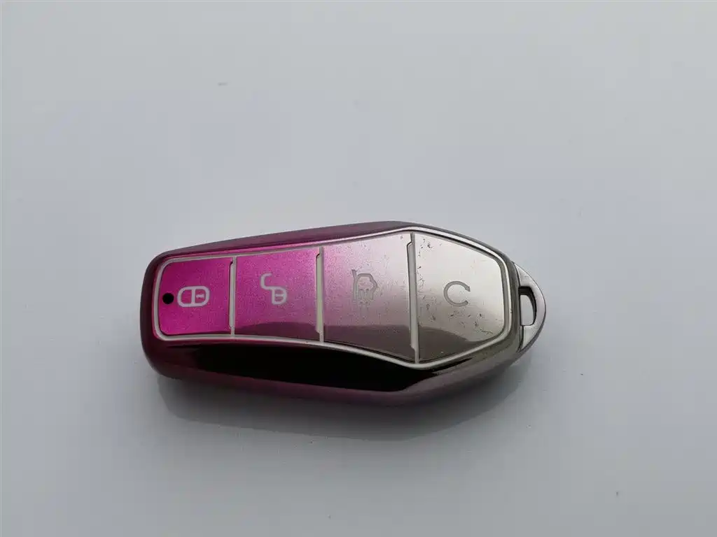 BYD SONGJIANG NEW ENERGY