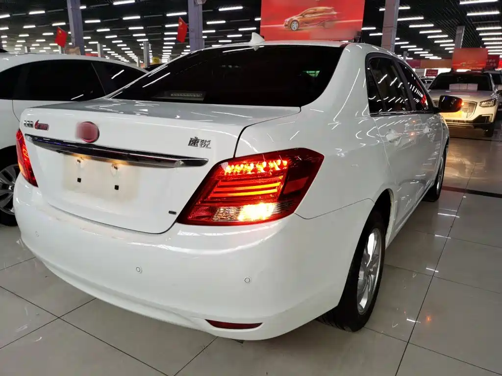 BYD Surui — миниатюра 5