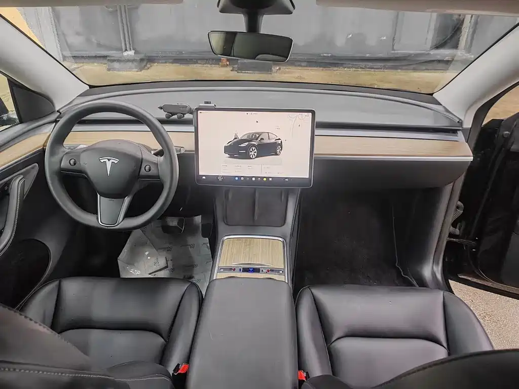 Tesla Model Y — миниатюра 4