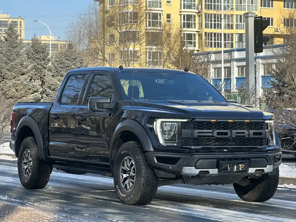 FORD F 150 RAPTOR