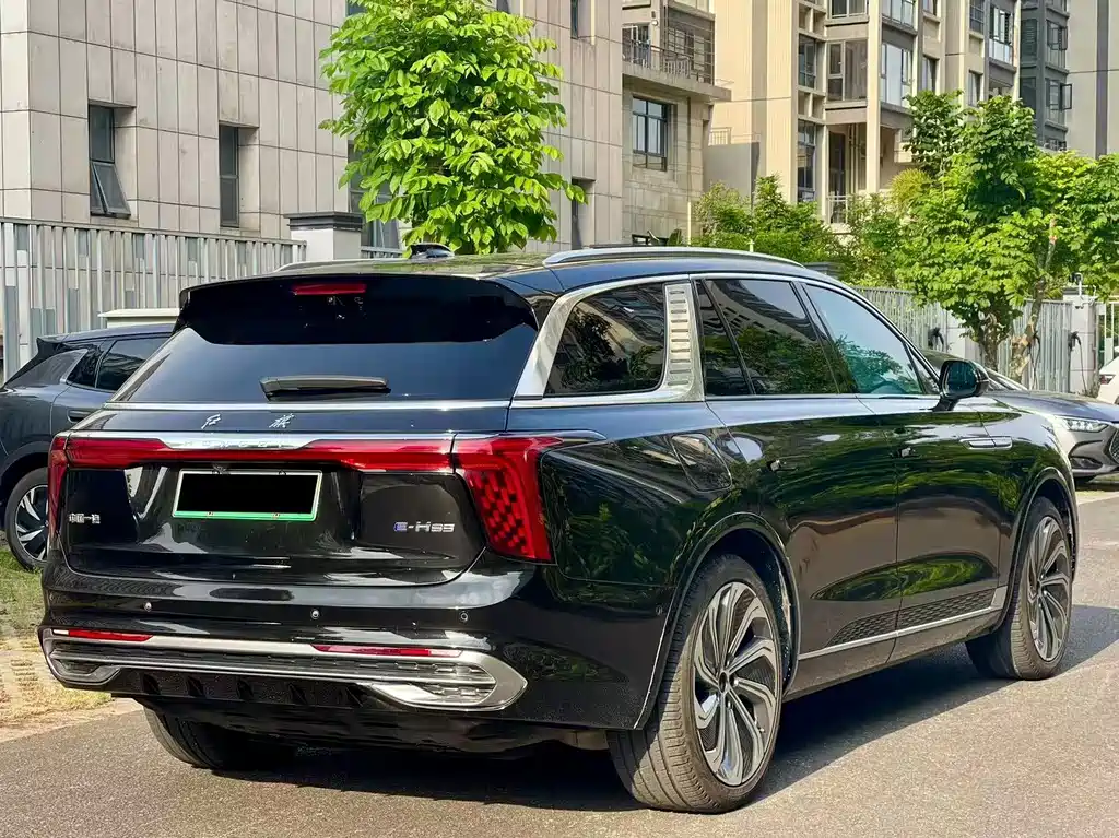 Hongqi Hongqi E-HS9 — миниатюра 9