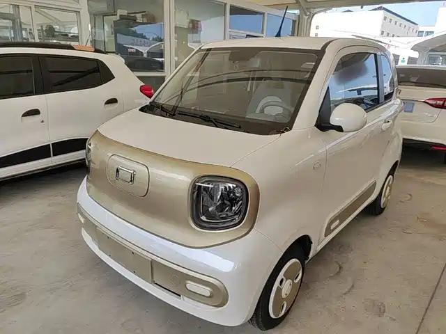 2024 Bestune Pony