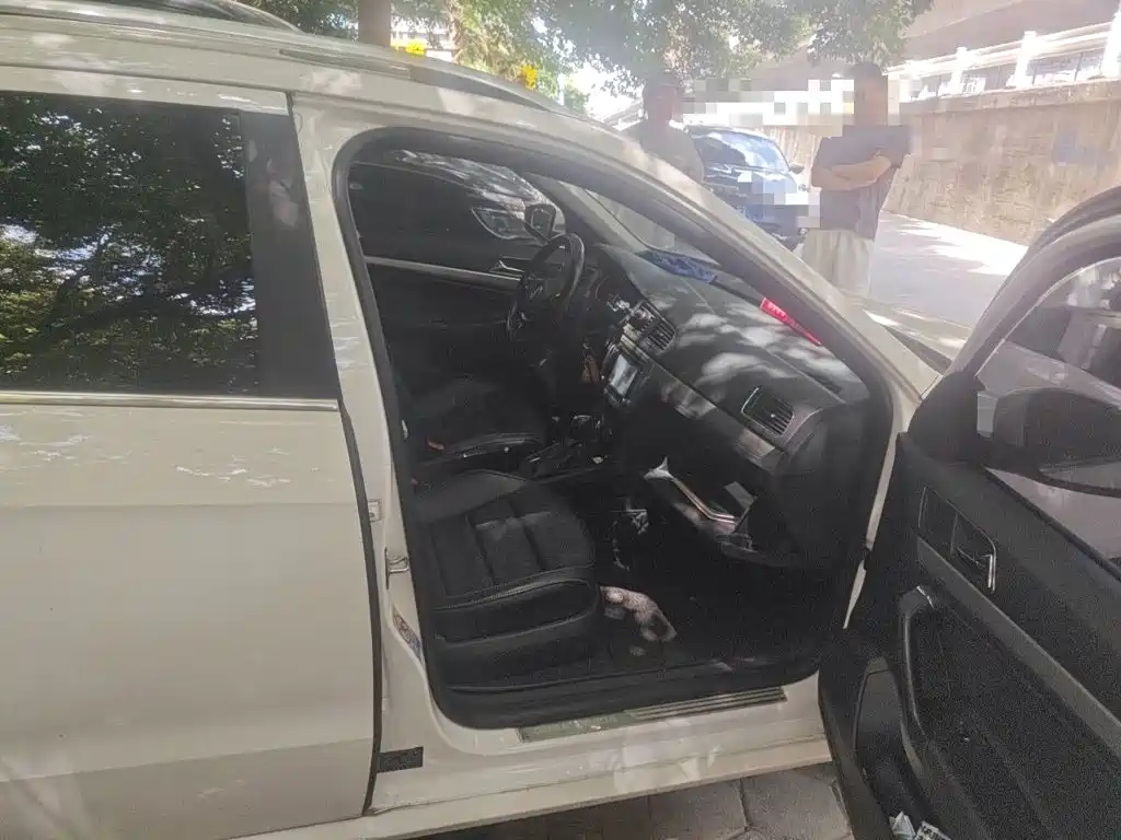 Volkswagen Gran Lavida — миниатюра 17