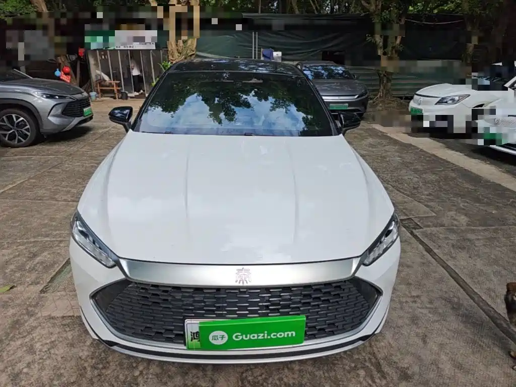 BYD Qin Plus PLUS 2023 Champion DM-i 55KM Lead