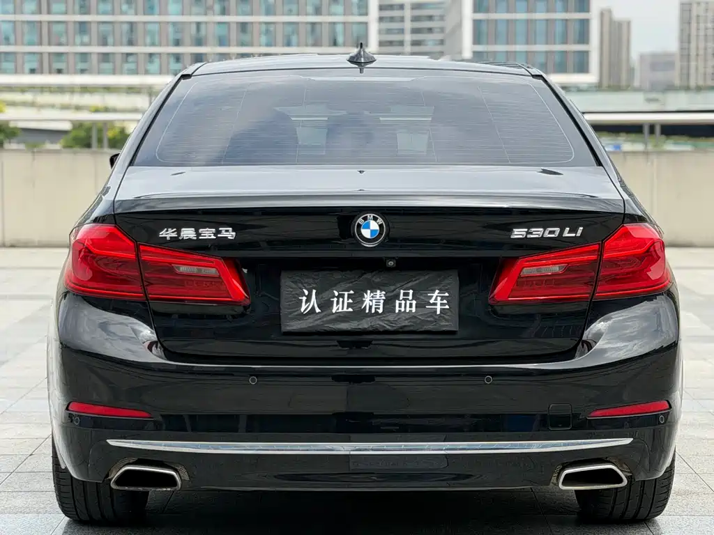BMW 5 Series — миниатюра 4