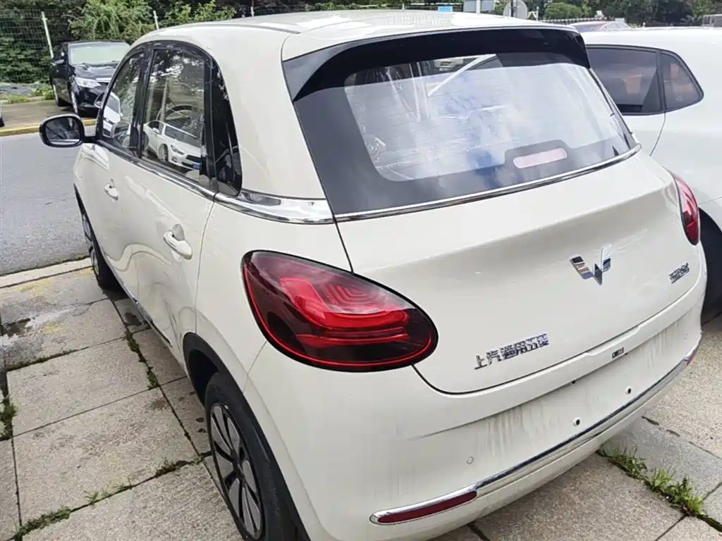 Wuling Binguo 2025 333km Enjoy
