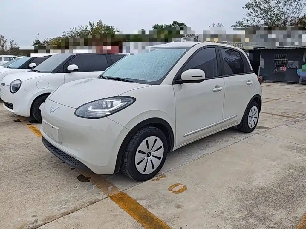 Wuling Bingo