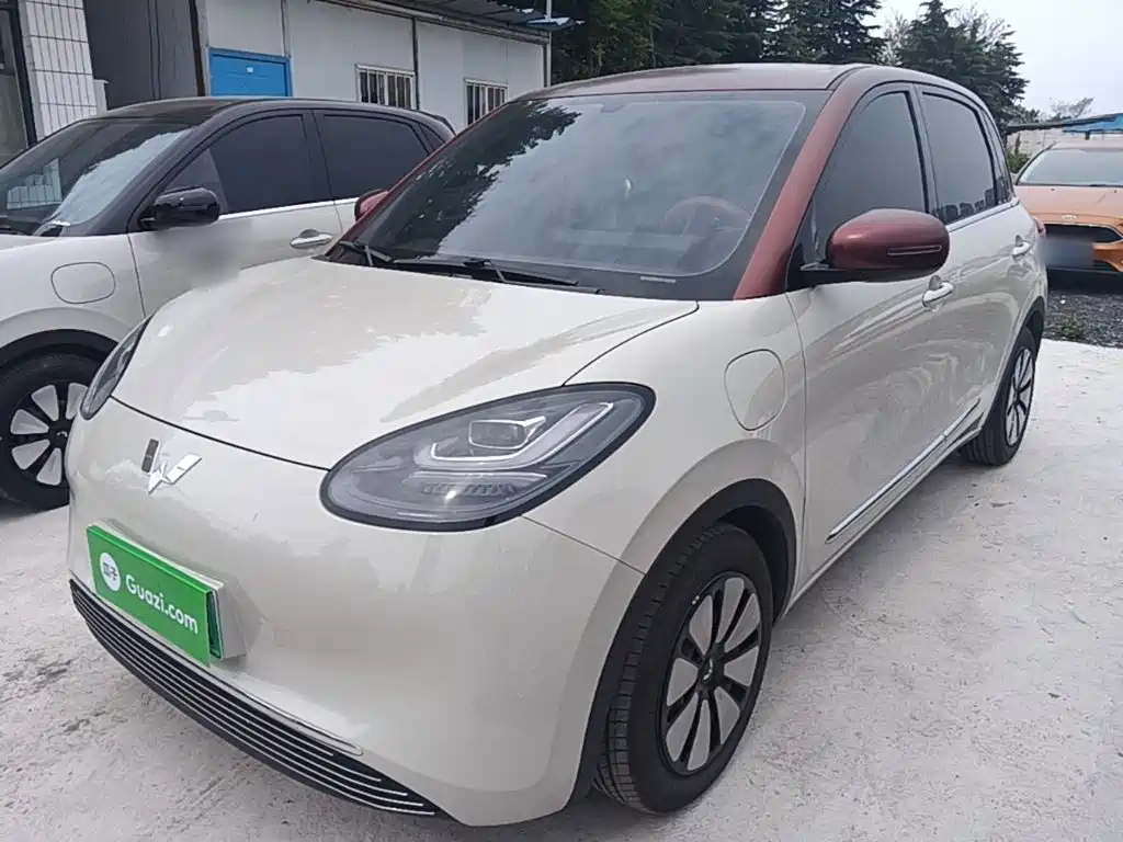 Wuling Binguo 2024 333km Enjoy