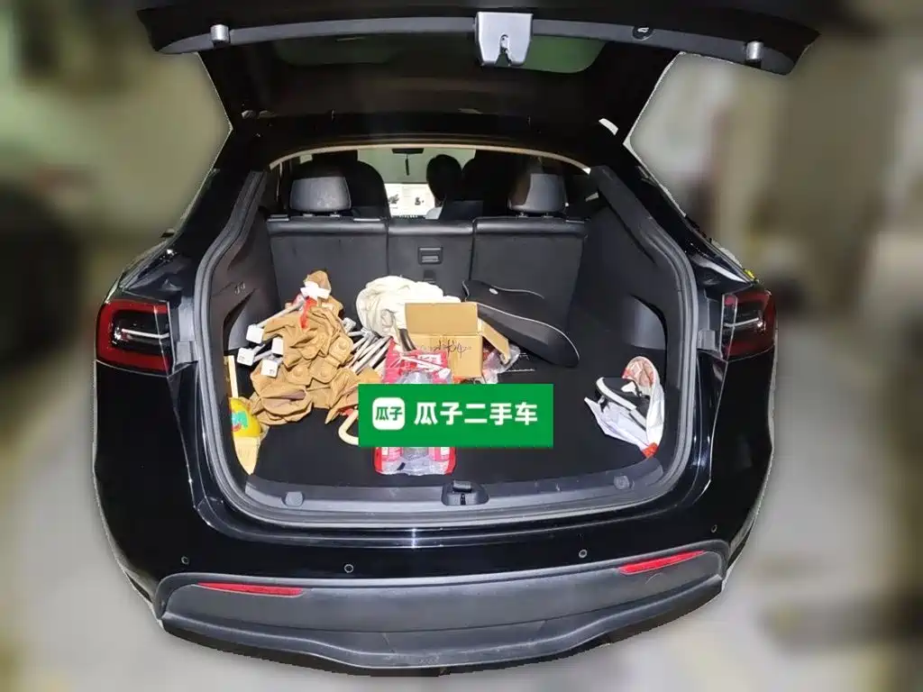 Tesla Model Y — миниатюра 20