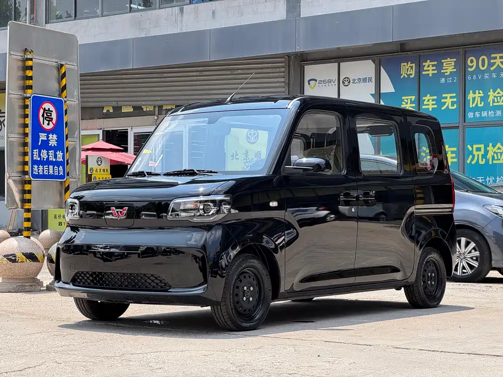 Wuling Light NEV 2025 201km Standard Type