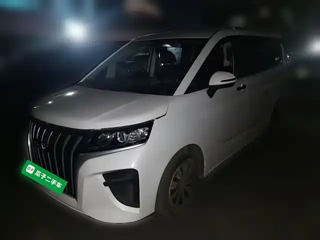 BAW Ace M7