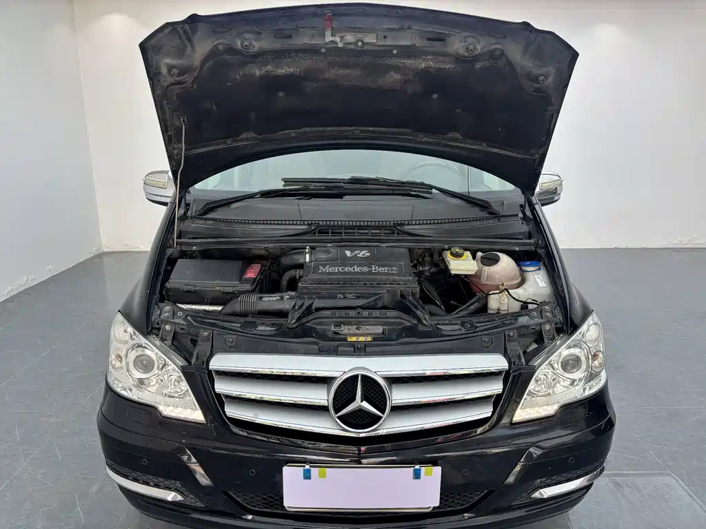 Mercedes-Benz Viano — миниатюра 2