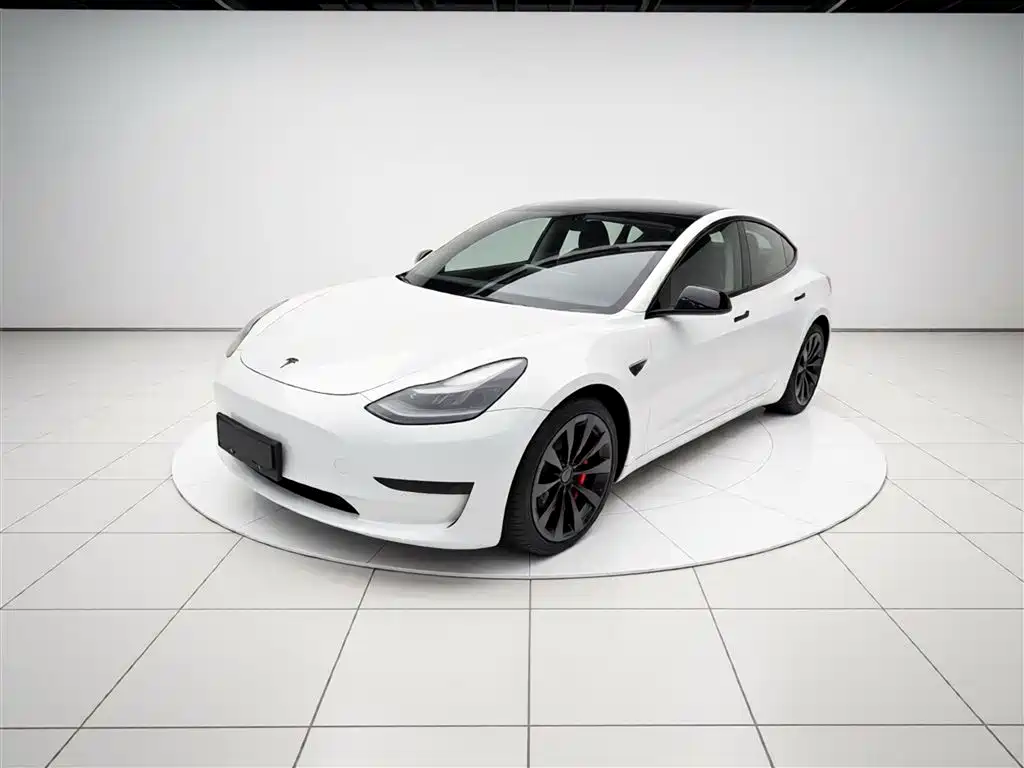 Tesla Model 3 2021