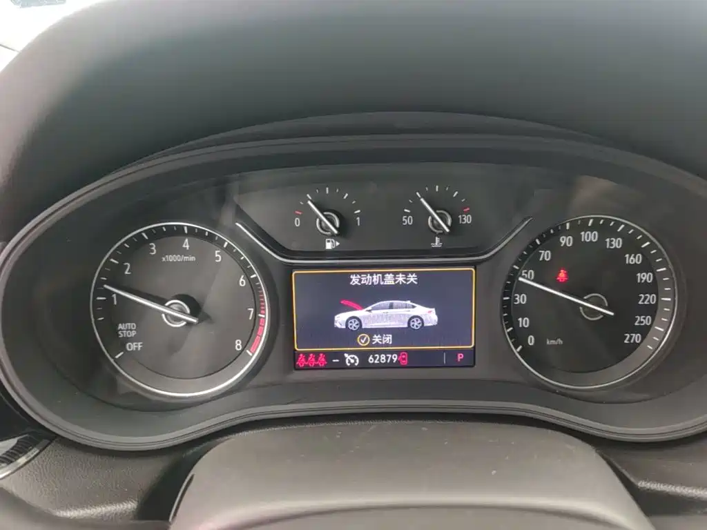 Buick Regal — миниатюра 12