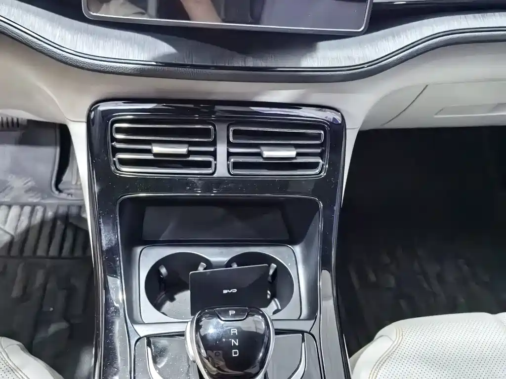 BYD Qin Plus PLUS 2024 DM-i 55KM Lead