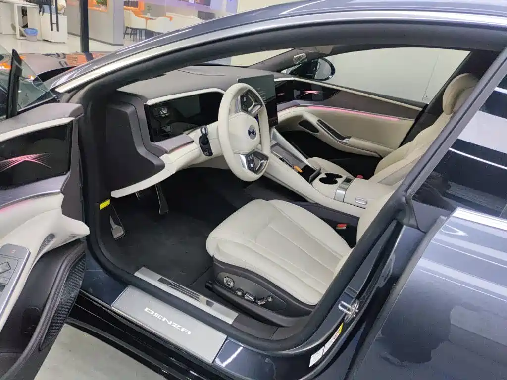 Denza Denza Z9 — миниатюра 3