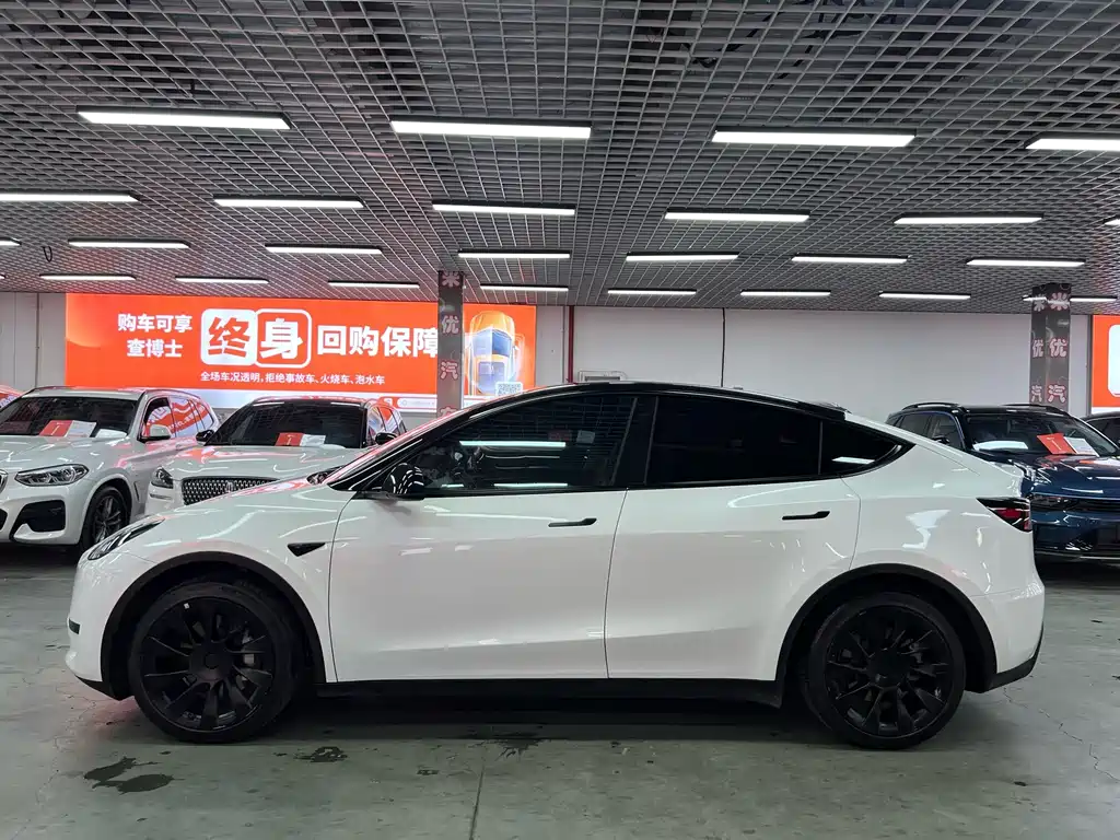 Tesla Model Y — миниатюра 3