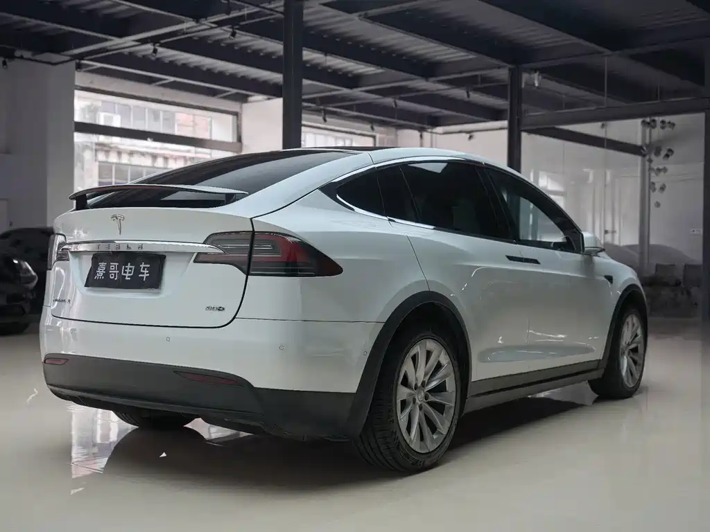 Tesla Model X — миниатюра 8