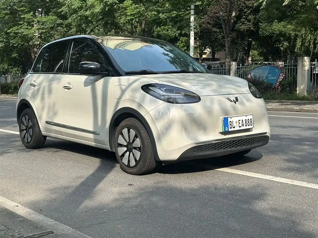 Wuling Binguo 2023 410km Premium