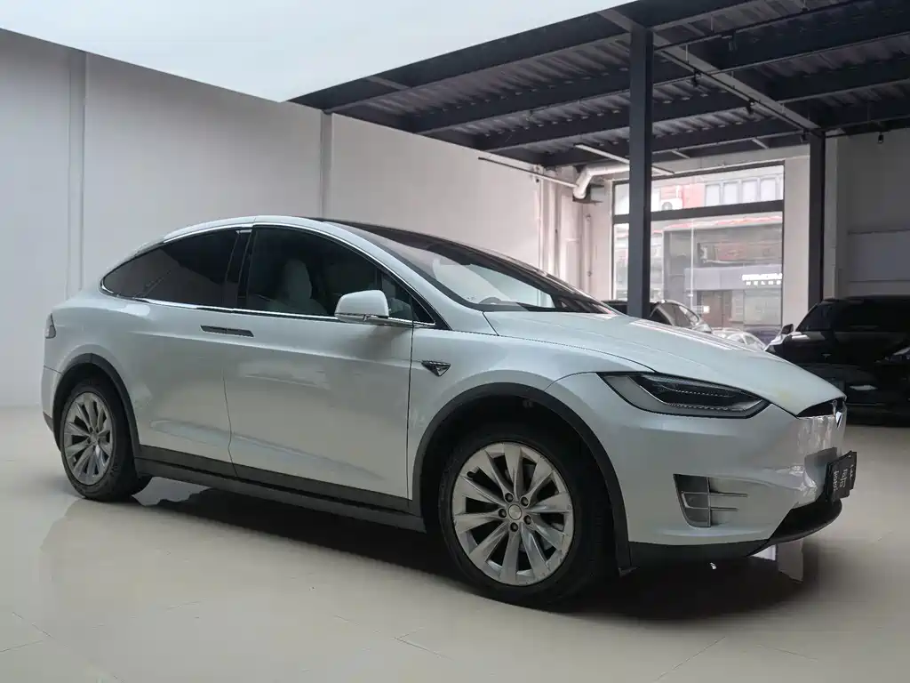 Tesla Model X — миниатюра 12