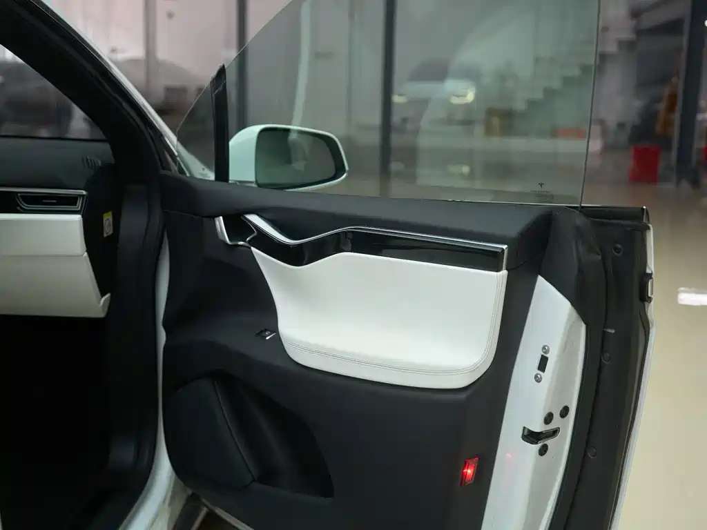 Tesla Model X — миниатюра 14