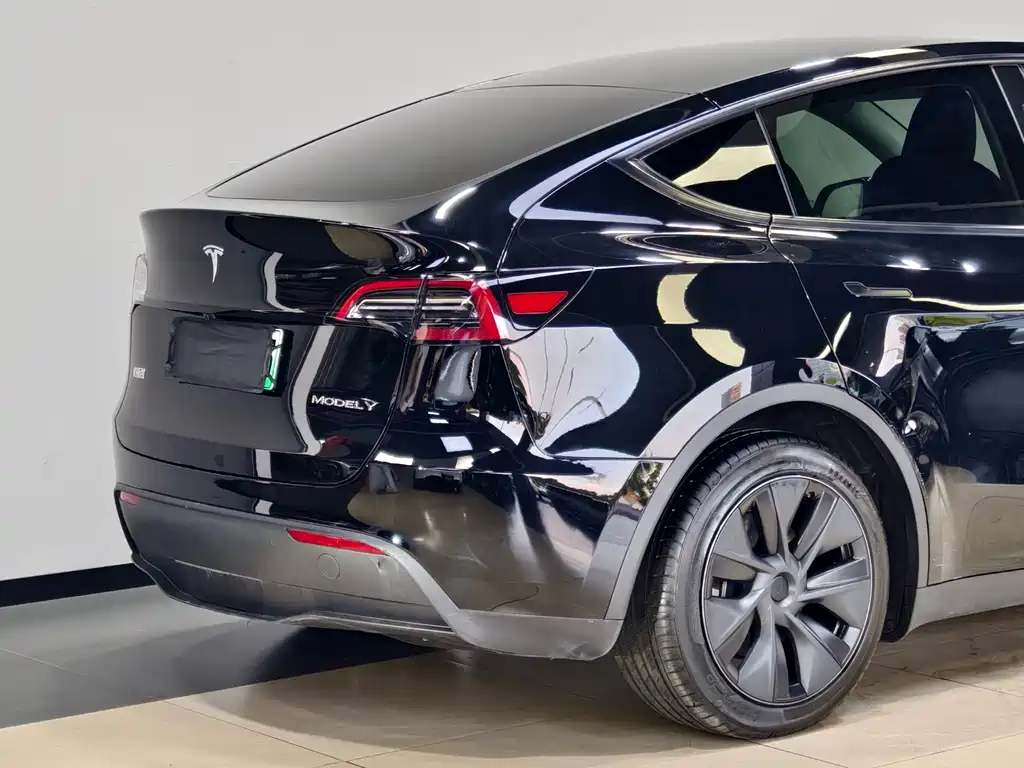 Tesla Model Y — миниатюра 9
