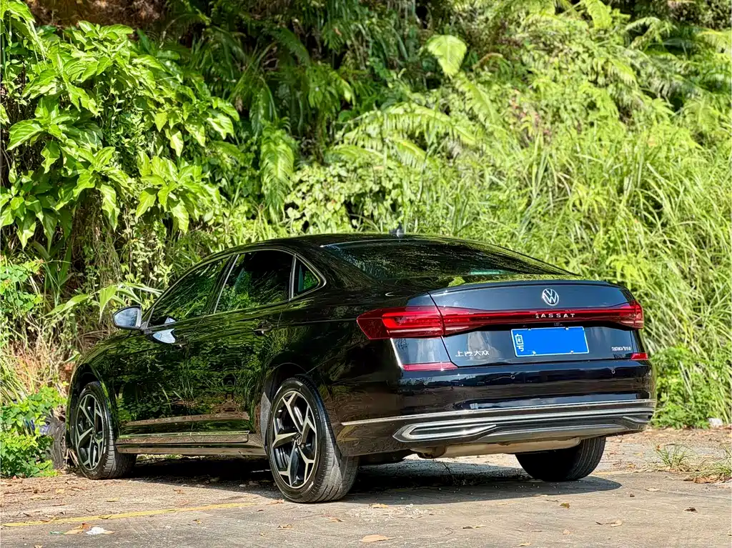 Volkswagen Passat — миниатюра 4