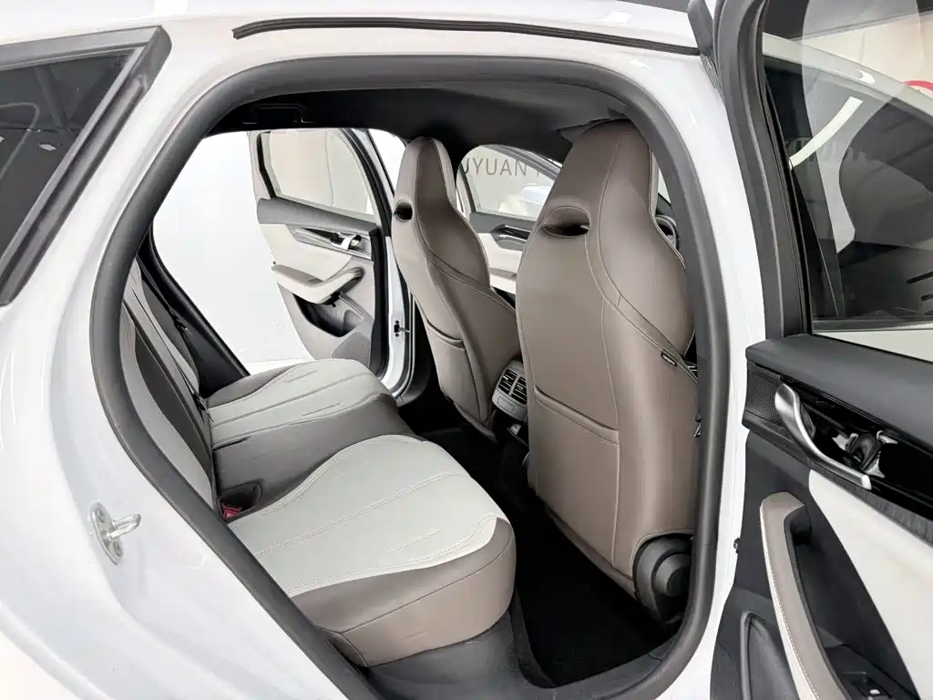 BYD Qin Plus 2024 — фото 14