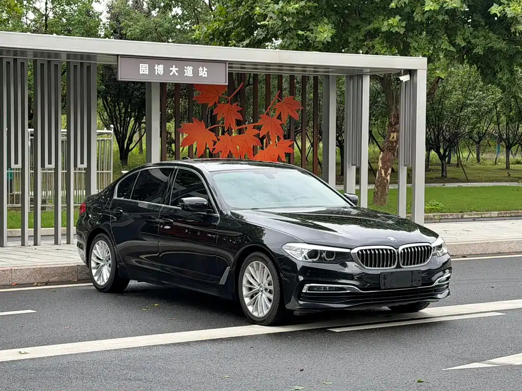 BMW 5 Series — миниатюра 3