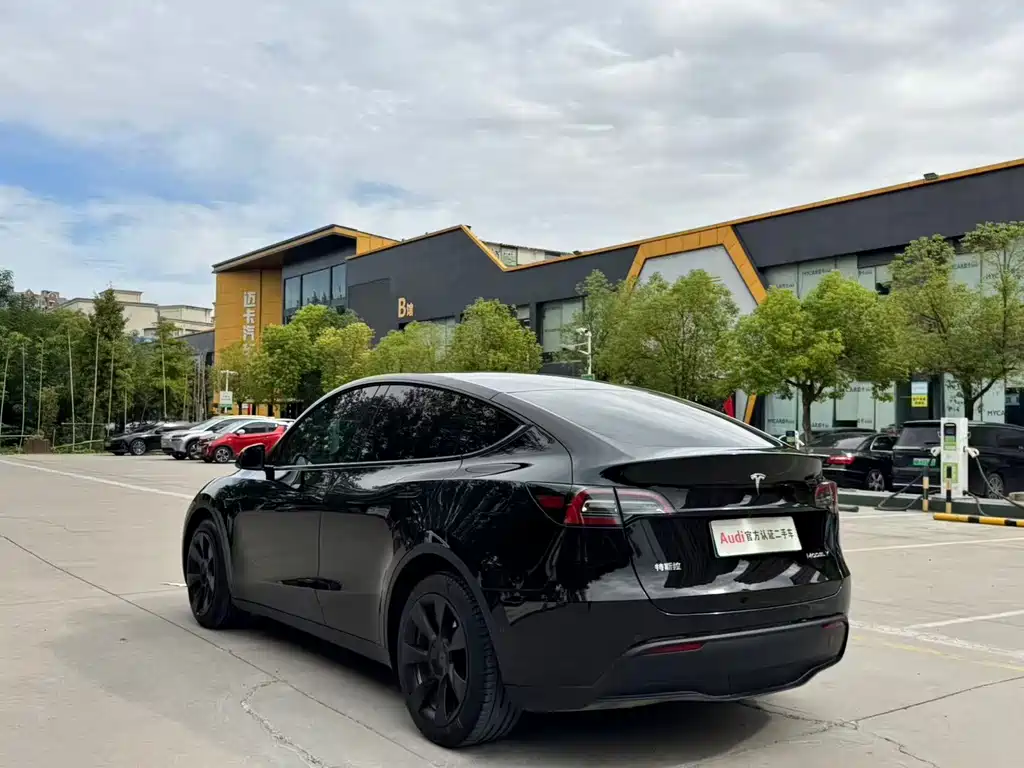 Tesla Model Y — миниатюра 6