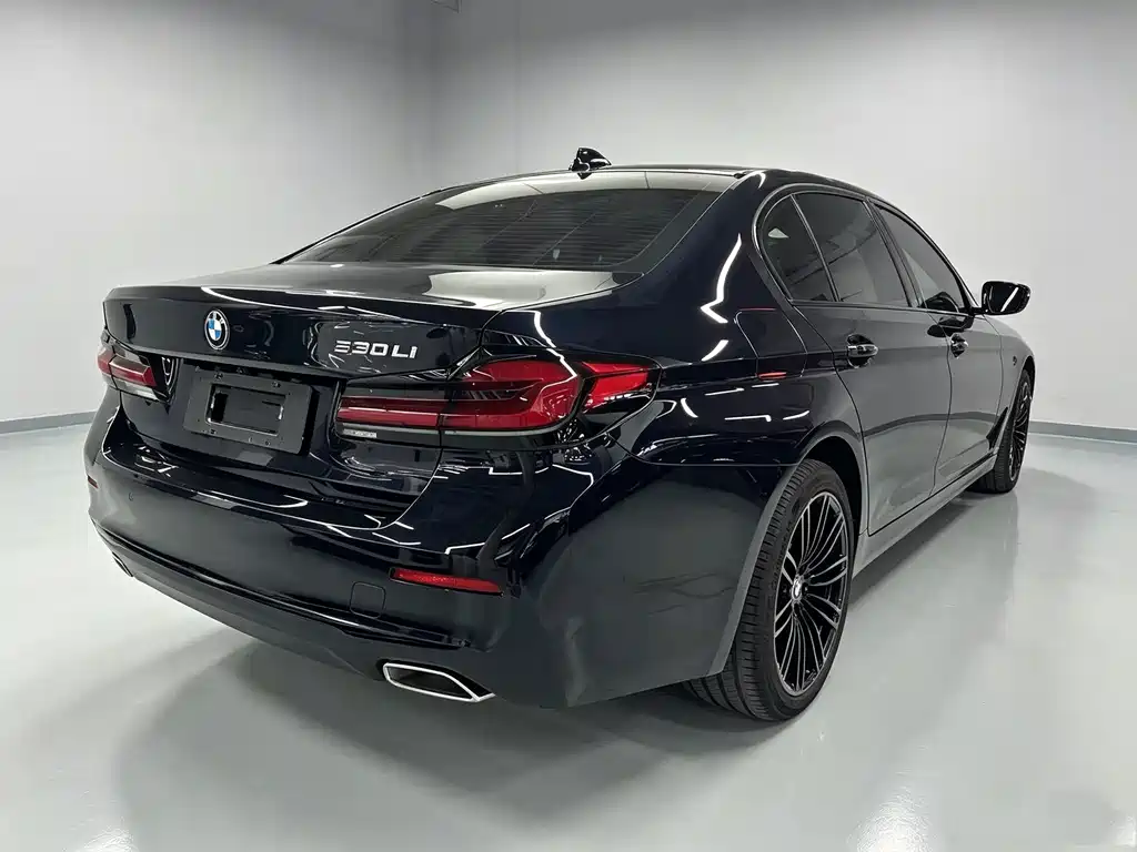 BMW 5 Series — миниатюра 4