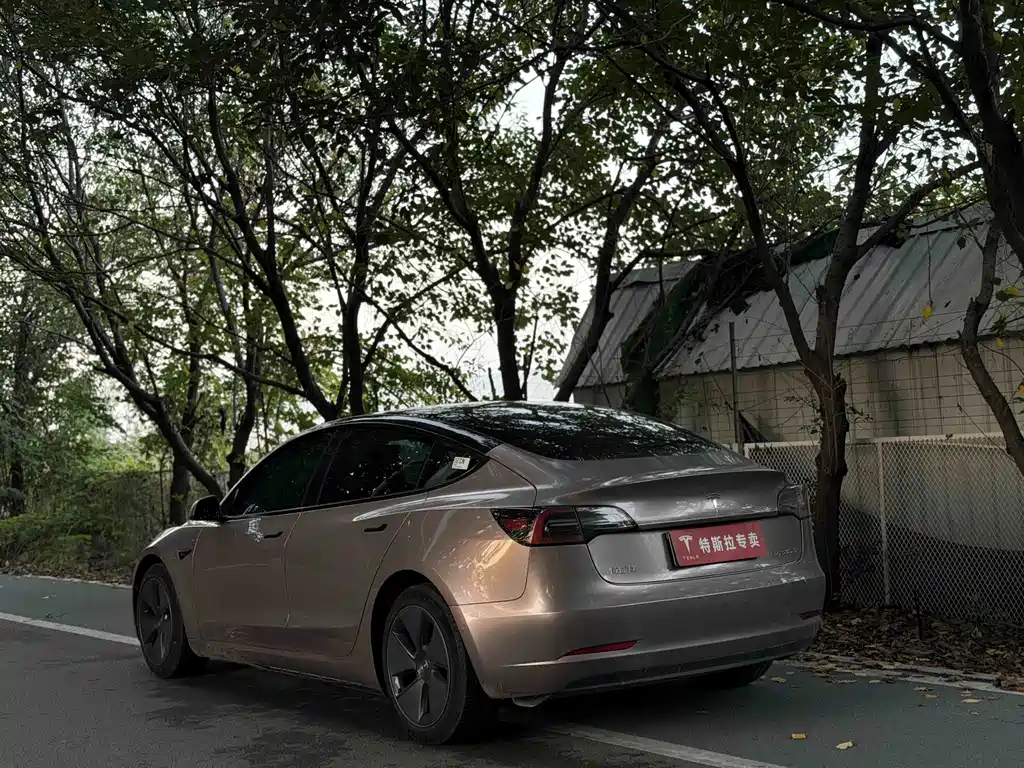 Tesla Model 3 — миниатюра 8