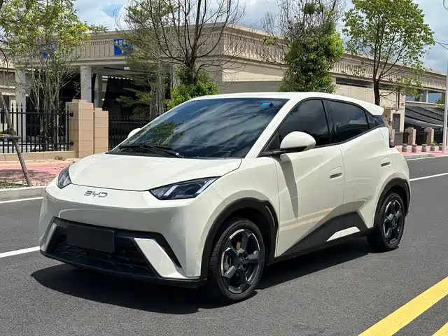 2024 BYD Seagull