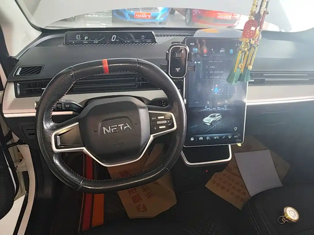 Neta Neta V — миниатюра 14