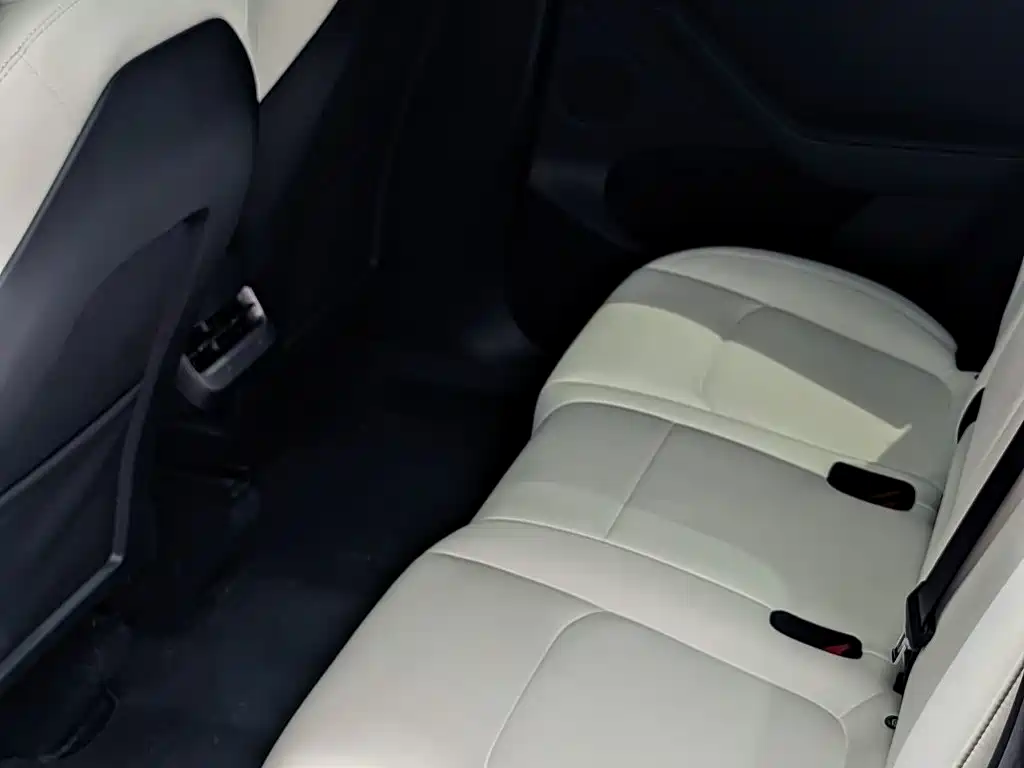 Tesla Model Y — миниатюра 16