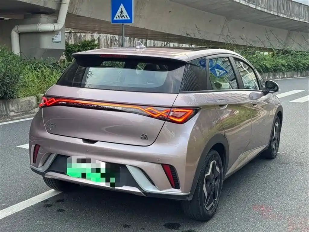 BYD Dolphin 2021 405km Fashion