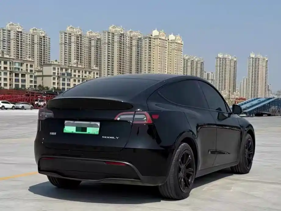Tesla Model Y — миниатюра 4