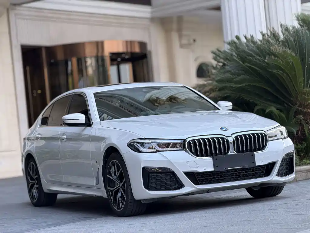 BMW 5 Series — миниатюра 3