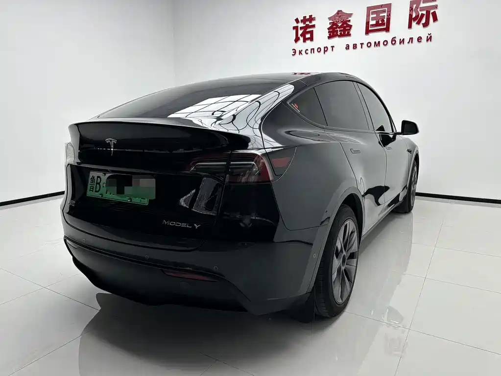 Tesla Model Y — миниатюра 6