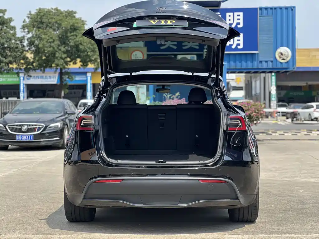 Tesla Model Y — миниатюра 13