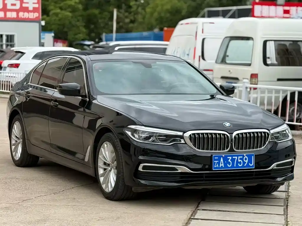 BMW 5 Series 5 2020 530Li Premium Luxury