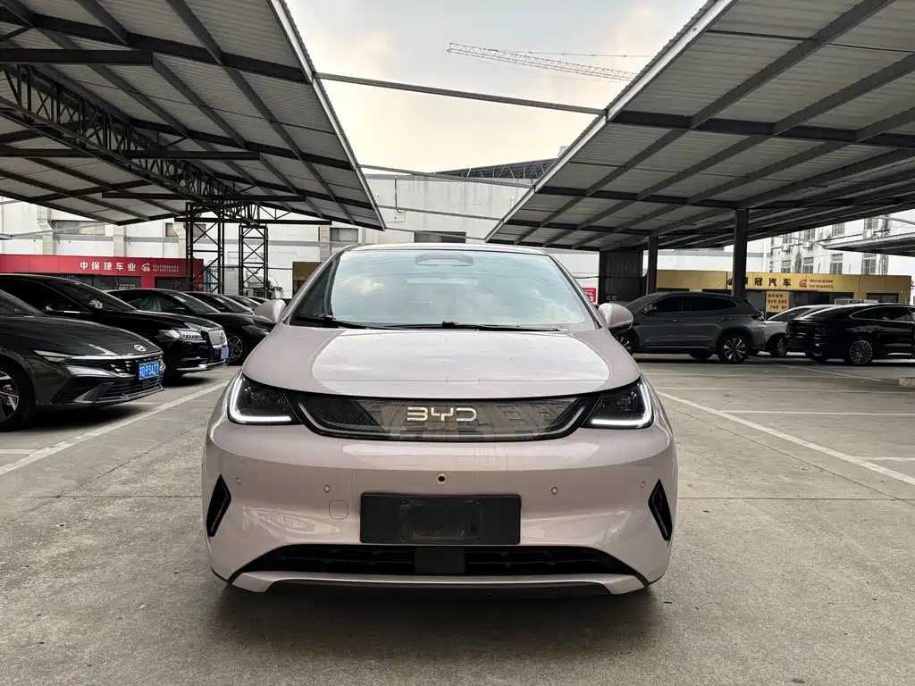 BYD Dolphin 2025 Smart Drive 410km Fashion