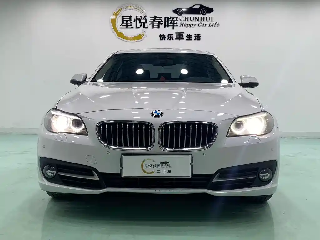 BMW 5 Series 5 2014 525Li Lead