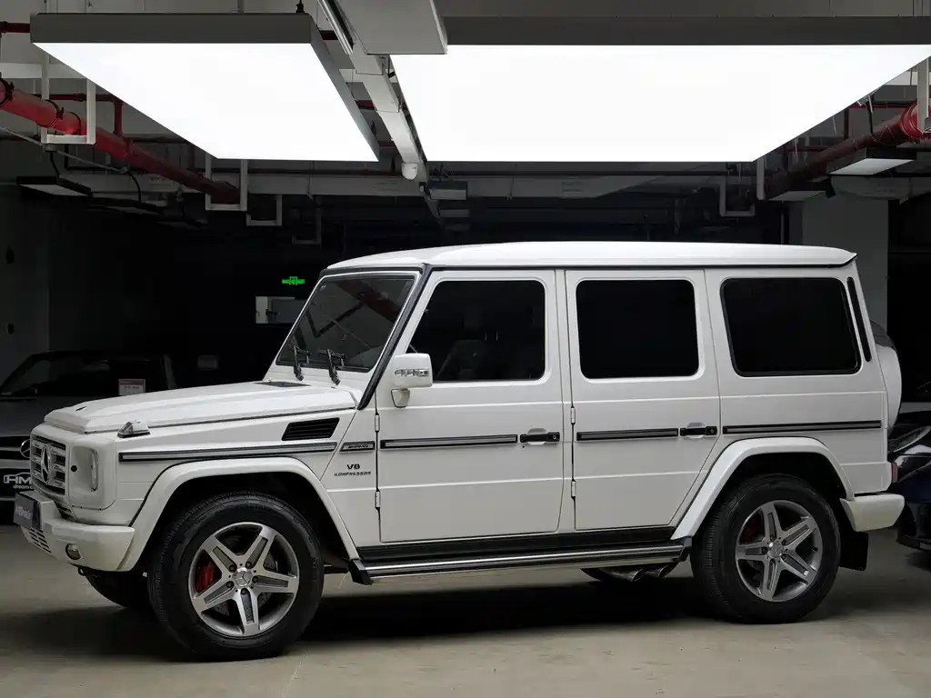 Mercedes-Benz G-Class AMG 2010