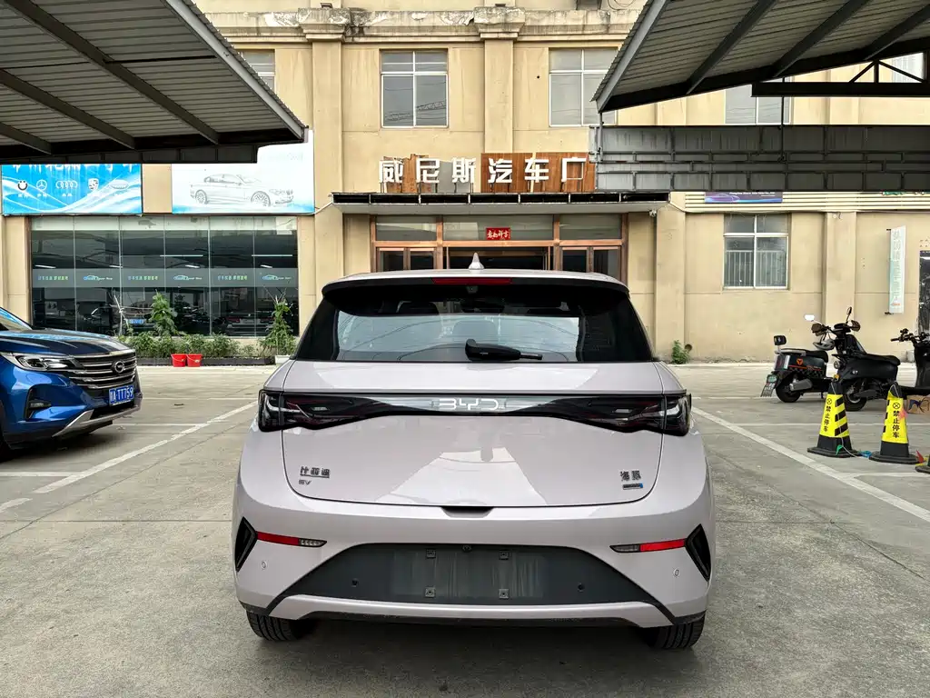 BYD Dolphin 2025 Smart Drive 410km Fashion